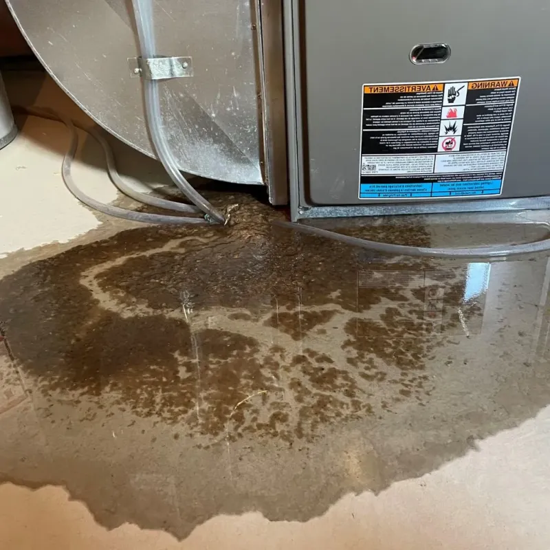 Pipe Burst and Leak Restoration in Defiance, OH